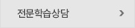 전문학습상담